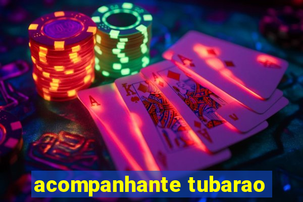 acompanhante tubarao